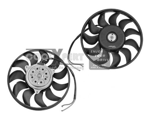 BBR AUTOMOTIVE Ventilaator,mootorijahutus 002-60-08021